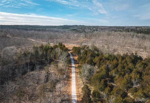Tiny photo for 4 Mill Street, Potosi, MO 63664 (MLS # 26030826)