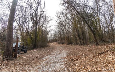 Tiny photo for 4 Mill Street, Potosi, MO 63664 (MLS # 26030826)