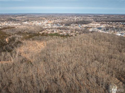 Tiny photo for 4 Mill Street, Potosi, MO 63664 (MLS # 26030826)