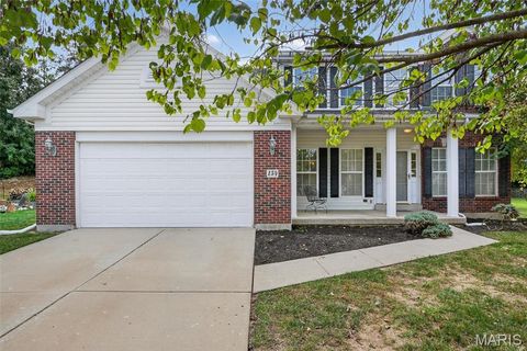 154 Riverwood Park Drive Florissant MO 63031