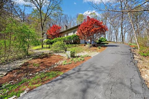 Tiny photo for 19256 Brookhollow Drive, Wildwood, MO 63038 (MLS # 26019951)