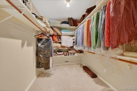 Tiny photo for 19256 Brookhollow Drive, Wildwood, MO 63038 (MLS # 26019951)