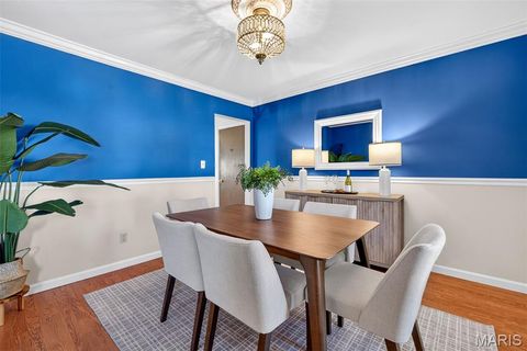 Tiny photo for 618 Running Creek Drive, Ballwin, MO 63021 (MLS # 25080363)