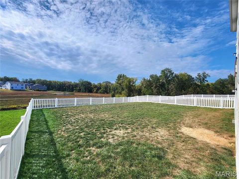 Tiny photo for 119 Dark Horse Court, Wentzville, MO 63385 (MLS # 25069991)