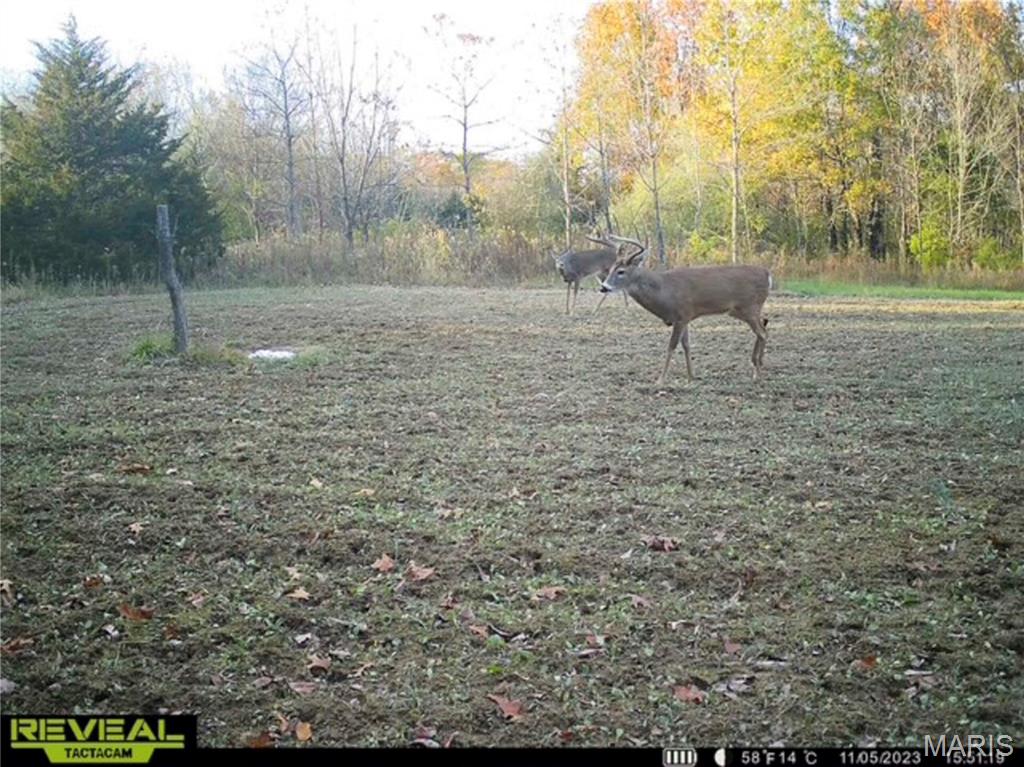 2 Whitetail Ridge Road