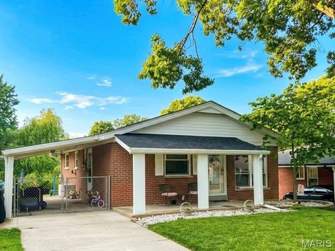 Photo of 8537 Vasel Avenue, St Louis, MO 63123 (MLS # 26031814)