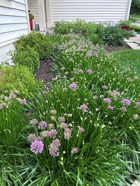 Tiny photo for 563 Beacon Point Lane, Wildwood, MO 63040 (MLS # 25077961)