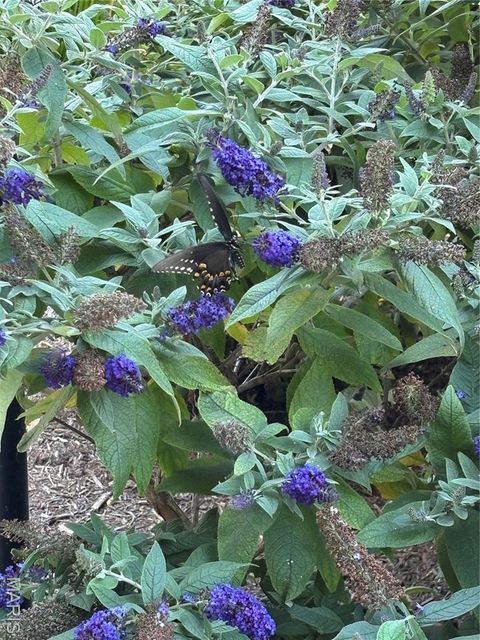 Tiny photo for 563 Beacon Point Lane, Wildwood, MO 63040 (MLS # 25077961)