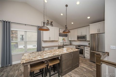 Tiny photo for 563 Beacon Point Lane, Wildwood, MO 63040 (MLS # 25077961)