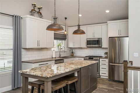 Tiny photo for 563 Beacon Point Lane, Wildwood, MO 63040 (MLS # 25077961)