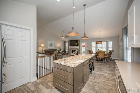 Tiny photo for 563 Beacon Point Lane, Wildwood, MO 63040 (MLS # 25077961)