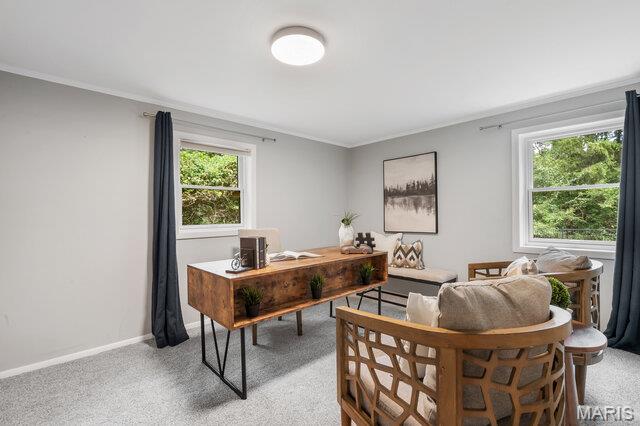 Ladue Forest - Residential