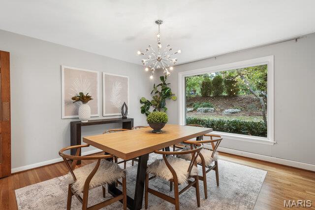 Ladue Forest - Residential