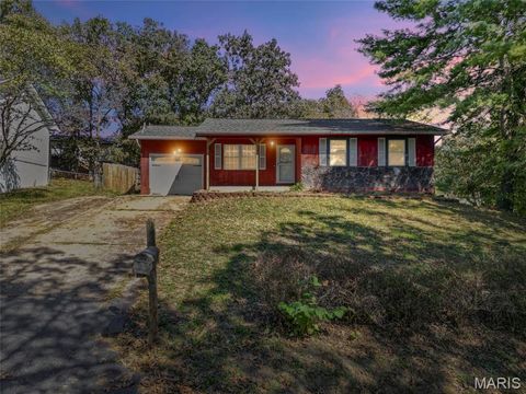 5408 Lakeview Lane Festus MO 63028