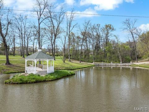 Tiny photo for 20054 Shady Tree Lane, Warrenton, MO 63383 (MLS # 25055494)