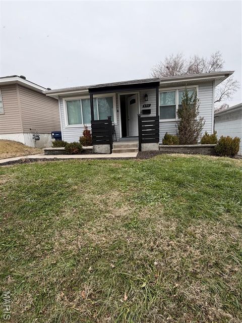 831 Hornsby St Louis MO 63147