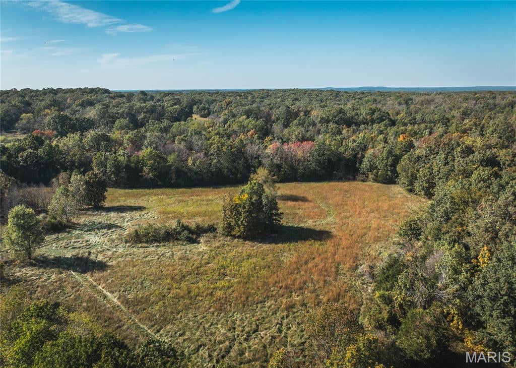 Photo of 0 Turkey Ridge Lane, Steelville, MO 65565 (MLS # 26067654)