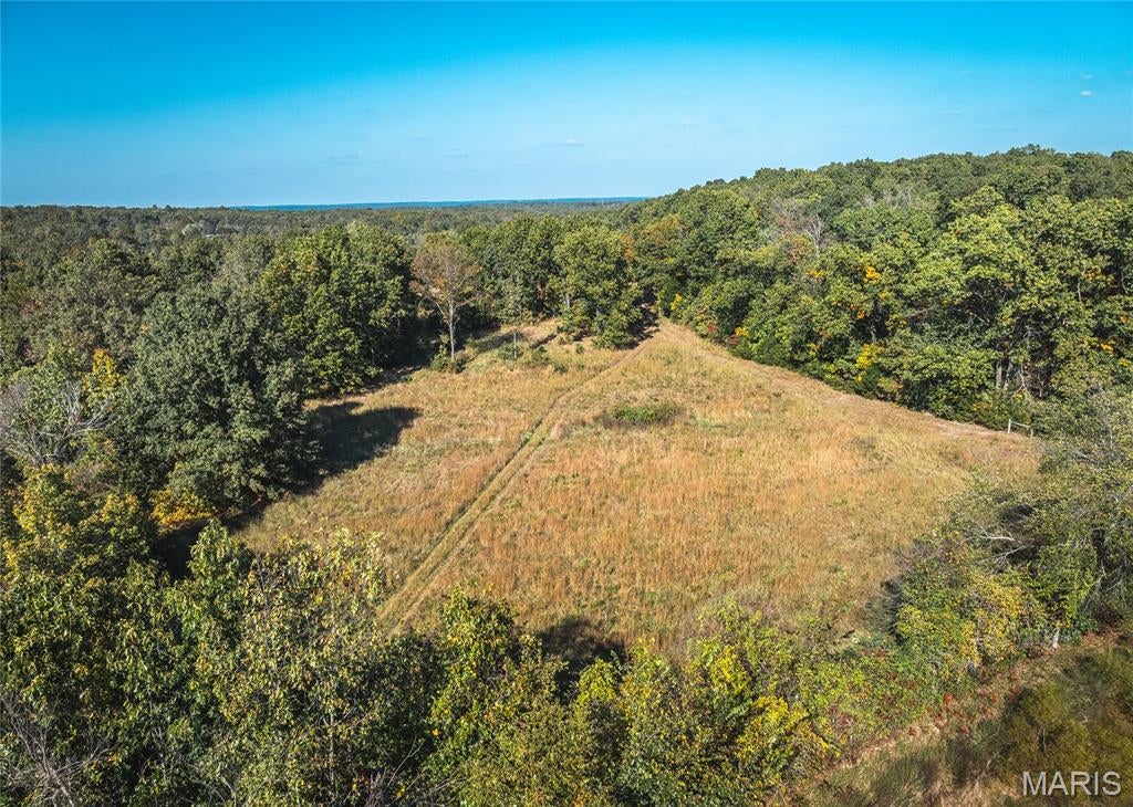 Photo of 0 Turkey Ridge Lane, Steelville, MO 65565 (MLS # 26067654)