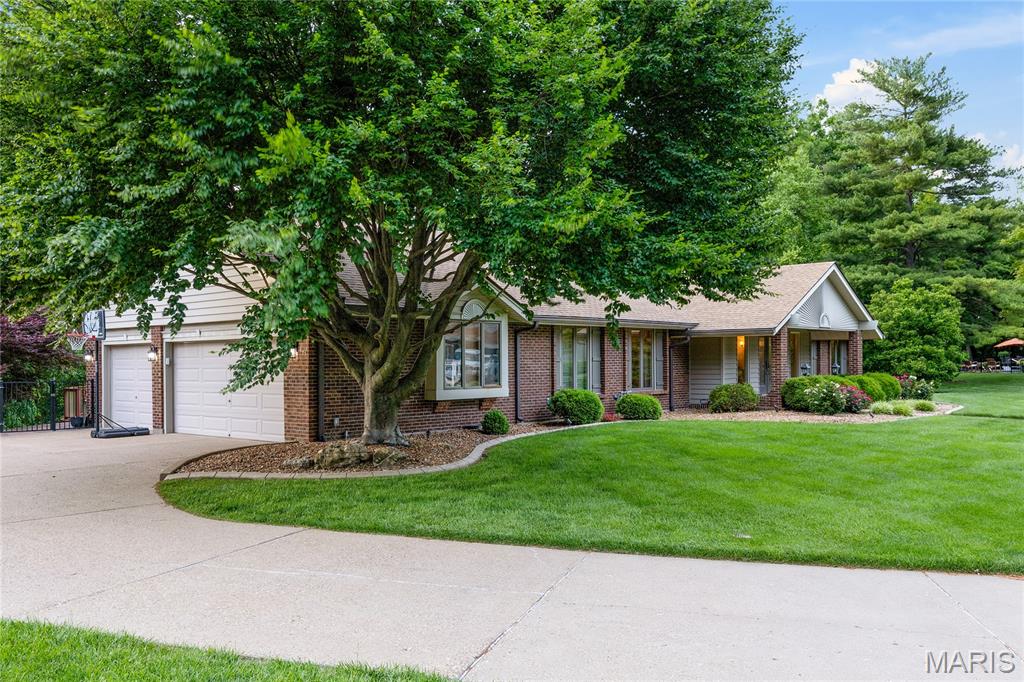 Runnymede - Residential