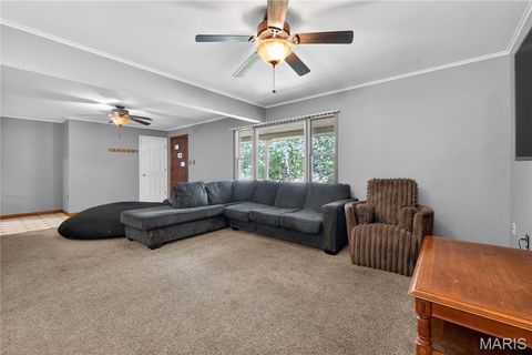 Tiny photo for 118 Highway N, Winfield, MO 63389 (MLS # 26020542)