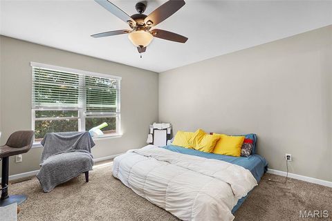 Tiny photo for 401 Glen Forest Drive, Troy, MO 63379 (MLS # 25059861)