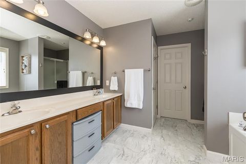 Tiny photo for 756 Wrausmann Drive, Wentzville, MO 63385 (MLS # 25068393)