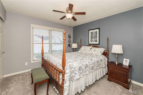 Tiny photo for 756 Wrausmann Drive, Wentzville, MO 63385 (MLS # 25068393)