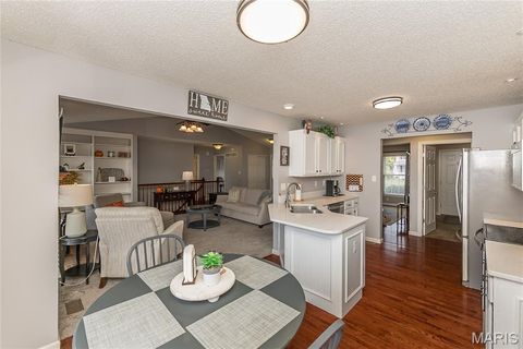 Tiny photo for 756 Wrausmann Drive, Wentzville, MO 63385 (MLS # 25068393)
