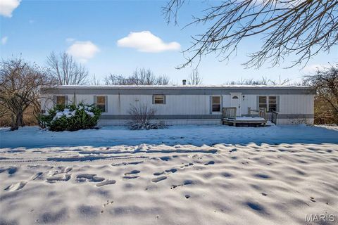 Photo of 90 New Hope Road, Elsberry, MO 63343 (MLS # 25027857)