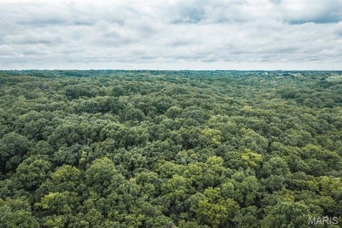 Tiny photo for 1137 Highway F, Eolia, MO 63344 (MLS # 26051803)