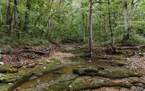 Tiny photo for 1137 Highway F, Eolia, MO 63344 (MLS # 26051803)