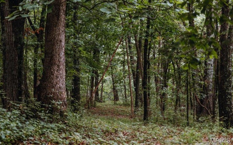 Tiny photo for 1137 Highway F, Eolia, MO 63344 (MLS # 26051803)