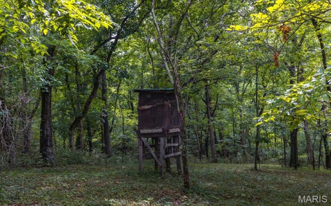 Tiny photo for 1137 Highway F, Eolia, MO 63344 (MLS # 26051803)