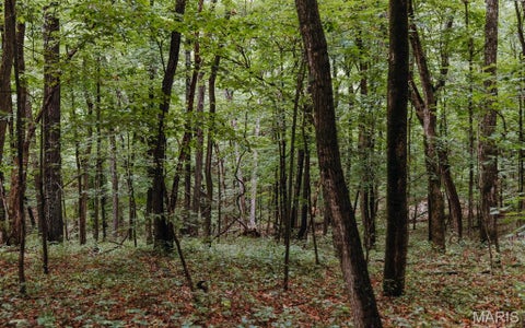 Tiny photo for 1137 Highway F, Eolia, MO 63344 (MLS # 26051803)
