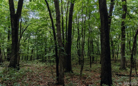 Tiny photo for 1137 Highway F, Eolia, MO 63344 (MLS # 26051803)