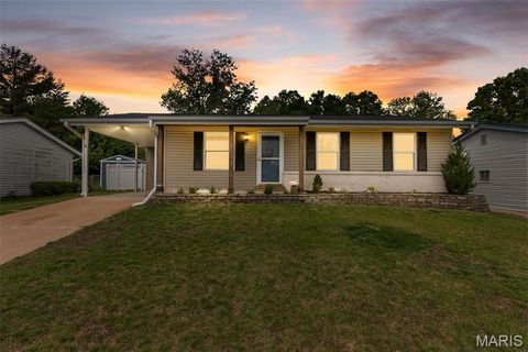 Photo of 669 Green Hedge Drive, Fenton, MO 63026 (MLS # 26011072)