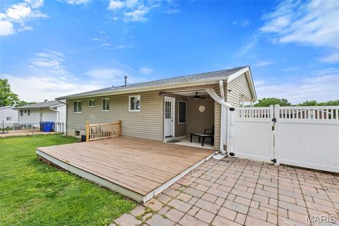 Tiny photo for 669 Green Hedge Drive, Fenton, MO 63026 (MLS # 26011072)