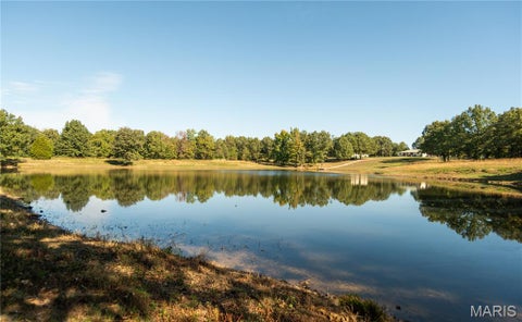 Tiny photo for 19504 County Road 262, Bloomfield, MO 63825 (MLS # 26068071)