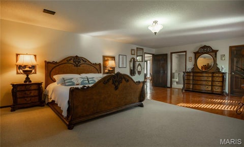 Tiny photo for 19504 County Road 262, Bloomfield, MO 63825 (MLS # 26068071)