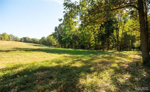 Tiny photo for 19504 County Road 262, Bloomfield, MO 63825 (MLS # 26068071)