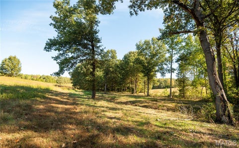 Tiny photo for 19504 County Road 262, Bloomfield, MO 63825 (MLS # 26068071)