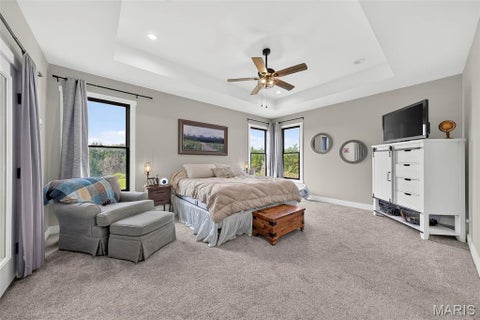 Tiny photo for 1010 Highway Uu, Silex, MO 63377 (MLS # 26049856)