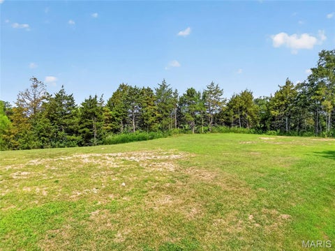 Tiny photo for 1010 Highway Uu, Silex, MO 63377 (MLS # 26049856)