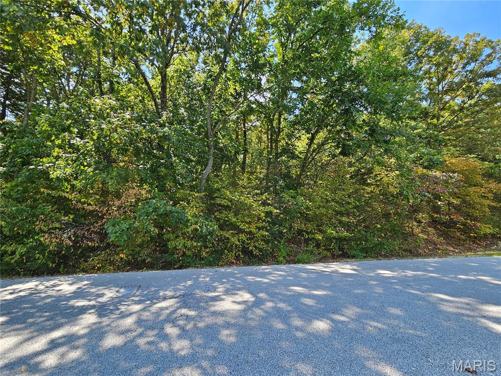 Raintree Plantation Sec 12 - Land