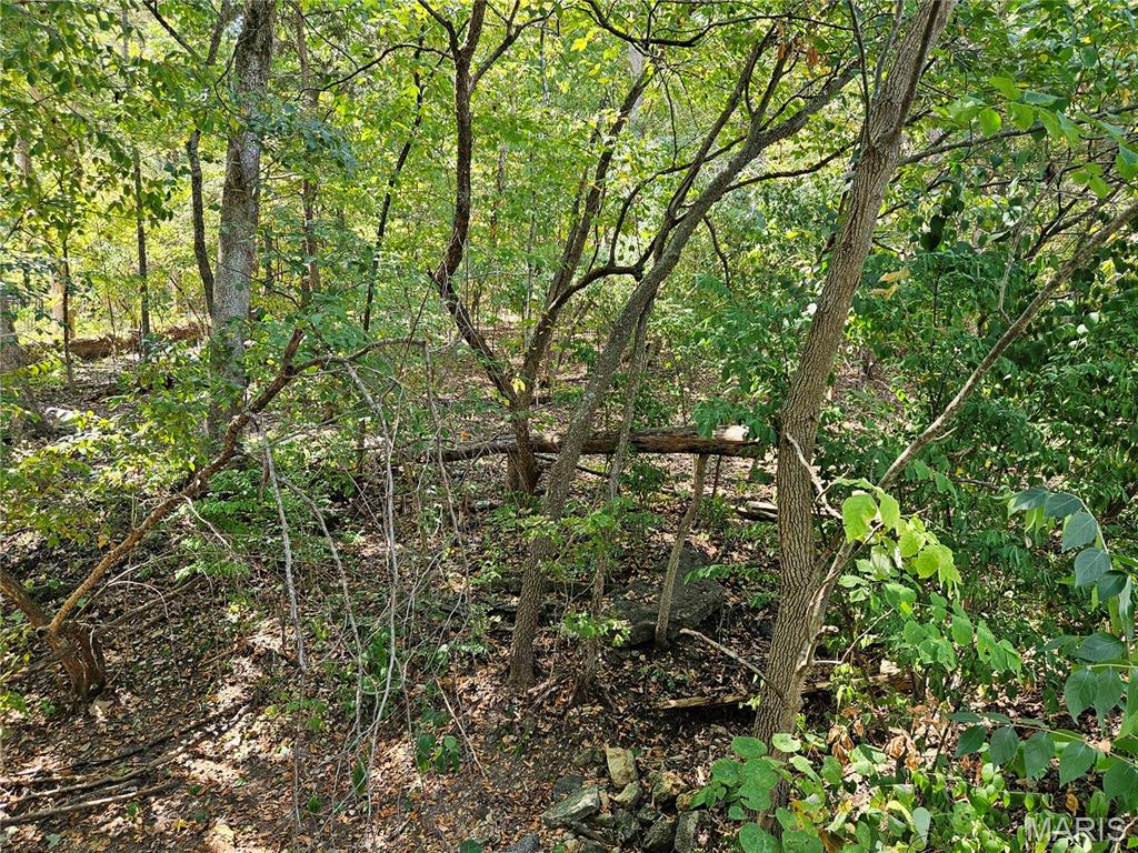 Raintree Plantation Sec 12 - Land