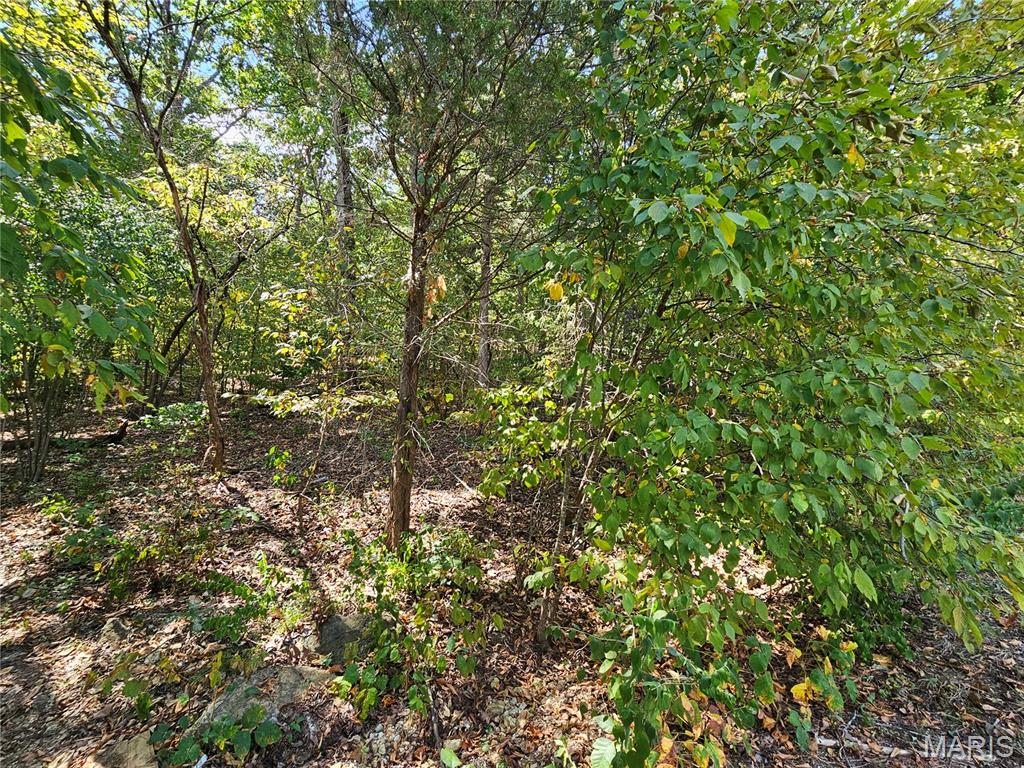 Raintree Plantation Sec 12 - Land