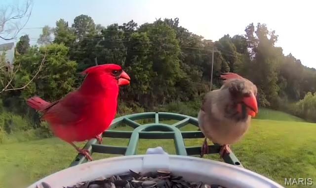 Stone Meadows - Residential