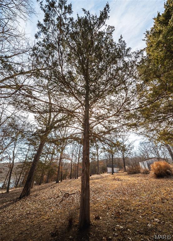 Brown Shanty Lake - Residential