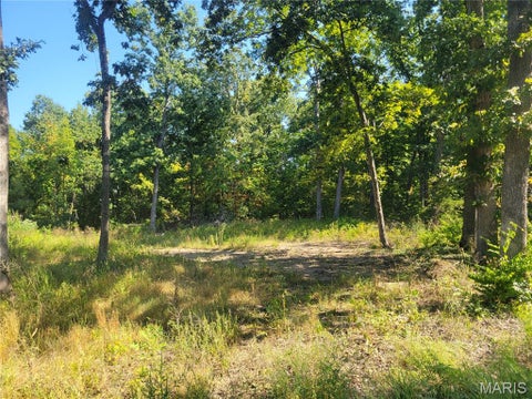 Tiny photo for 237 Jerry Miller Lane, Silex, MO 63377 (MLS # 26056797)