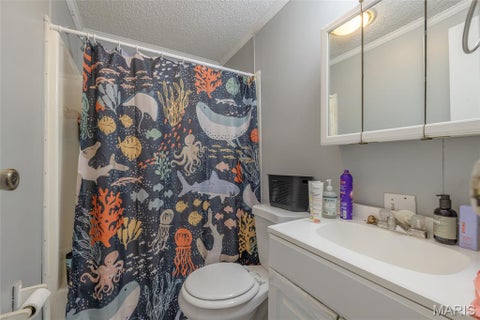 Tiny photo for 237 Jerry Miller Lane, Silex, MO 63377 (MLS # 26056797)